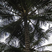 Picture 028